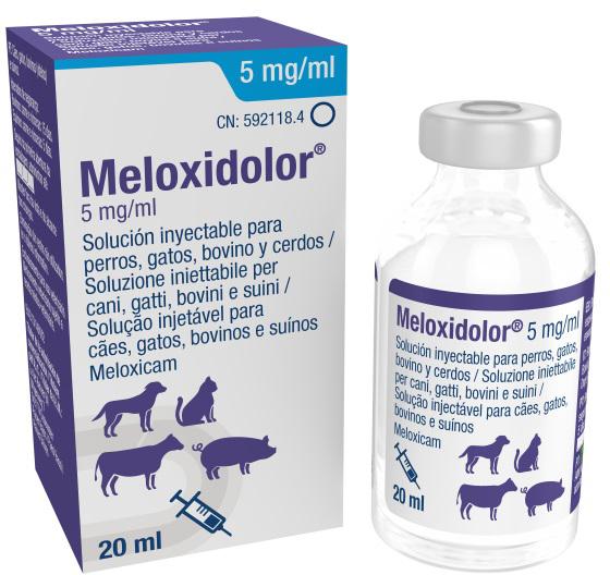 Meloxidolor 5 mg/ml solução injectável para cães, gatos, bovinos e suínos