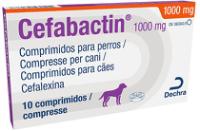 Cefabactin 1000 mg comprimidos para cães