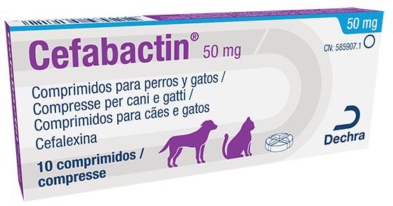Cefabactin 50 mg comprimidos para cães e gatos