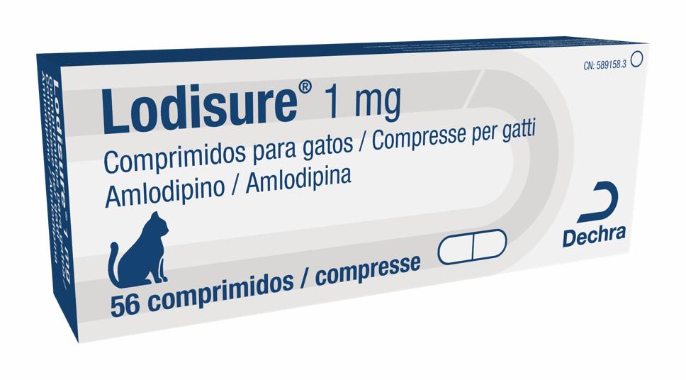 A Dechra apresenta o seu novo lançamento, Lodisure