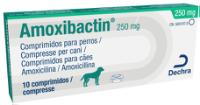 Amoxibactin 250 mg comprimidos para cães