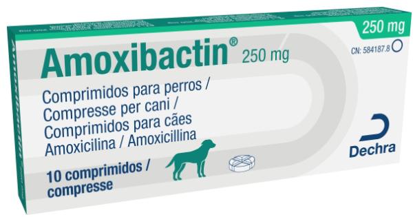 Amoxibactin 250 mg comprimidos para cães