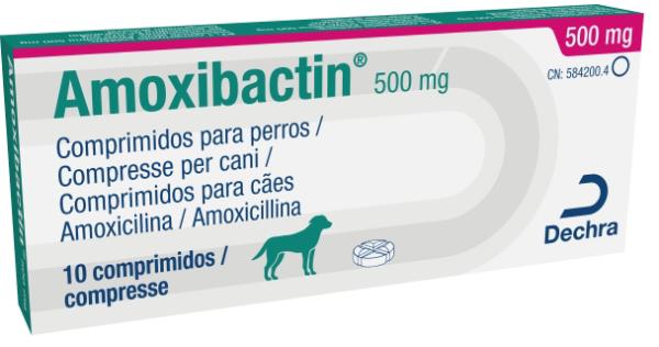 Amoxibactin 500 mg comprimidos para cães