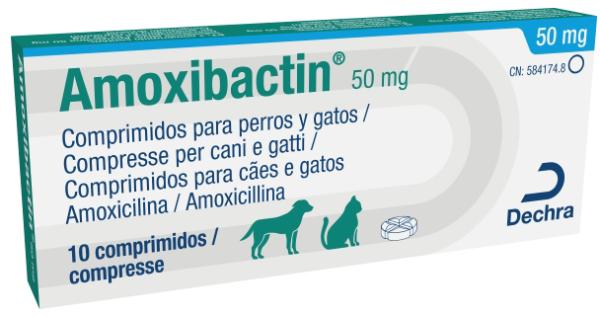 Amoxibactin 50 mg comprimidos para cães e gatos