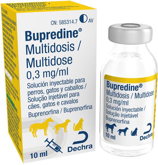 Bupredine 0,3 mg/ml solução injetável para cães, gatos e cavalos