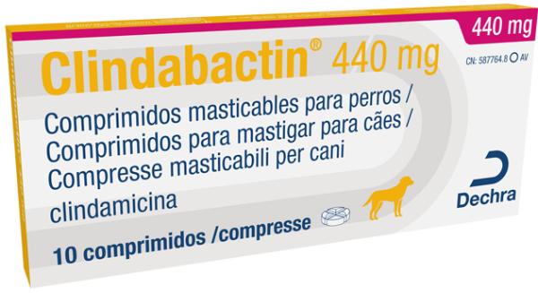Clindabactin 440 mg para cães