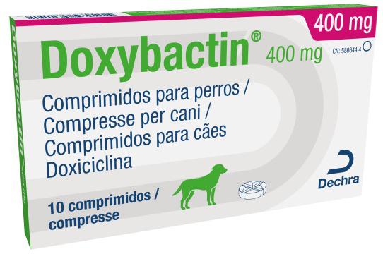 Doxybactin 400 mg comprimidos para cães