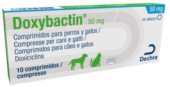 Doxybactin 50 mg comprimidos para cães e gatos
