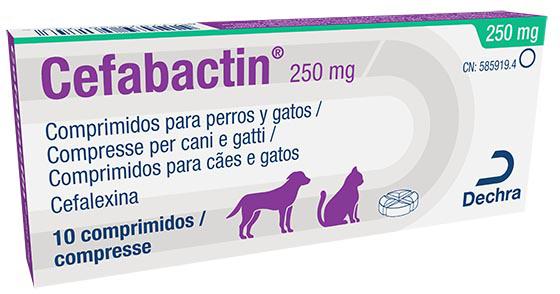 Cefabactin 250 mg comprimidos para cães e gatos