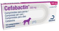 Cefabactin 500 mg comprimidos para cães