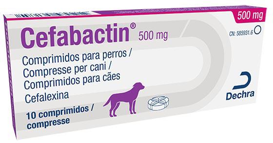 Cefabactin 500 mg comprimidos para cães